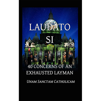 Laudato Si: The 40 Concerns of an Exhausted Layman